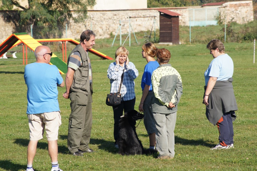 7 - ve skupině se hezky povídá