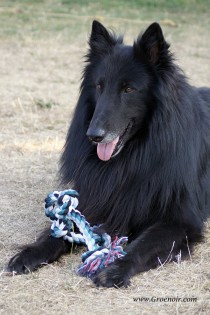 rocky-2018-09-02.jpg