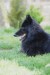 DSC05450a